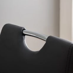 Roomscape Chaise cantilever Pasala - Noir - Lot de 2 -Meubles de salle à manger Soldes Magasin 1000006084 200907 14214200011 DETAILS P000000001000006084