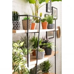 Studio Copenhagen Étagère Anadyr - Noir / Frêne -Meubles de salle à manger Soldes Magasin 1000007393 181114 11415201 GALLERYIMAGES P000000001000007393