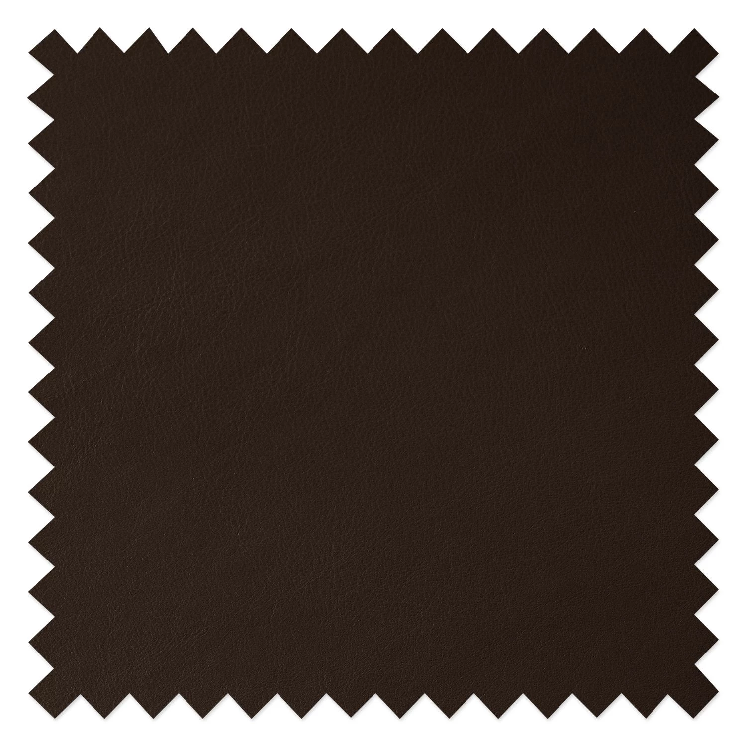 Studio Copenhagen Chaises Wilga V (lot de 2) - Cuir véritable 7 Studio Copenhagen Chaises Wilga V (lot de 2) - Cuir véritable – Image 7