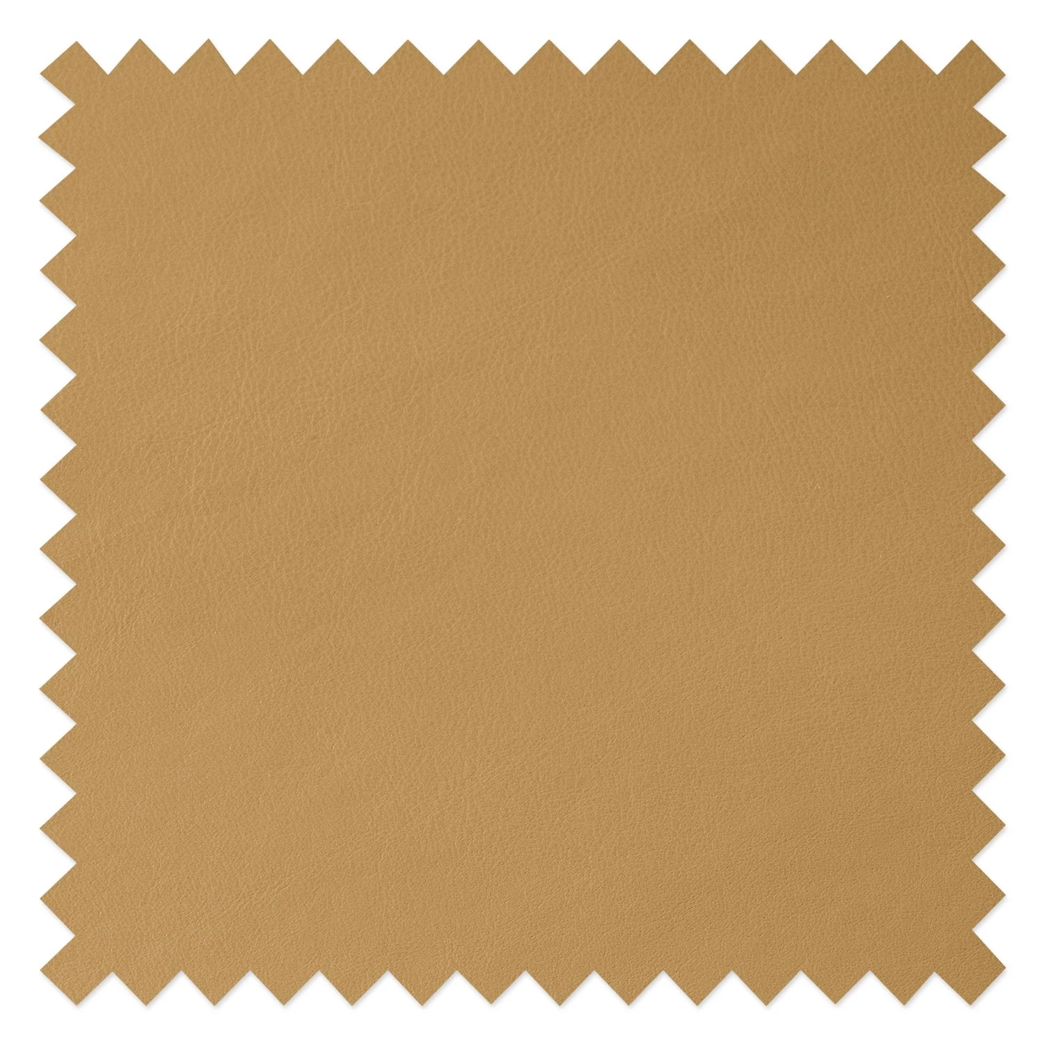 Studio Copenhagen Chaises Wilga IV (lot de 2) - Cuir véritable 7 Studio Copenhagen Chaises Wilga IV (lot de 2) - Cuir véritable – Image 7