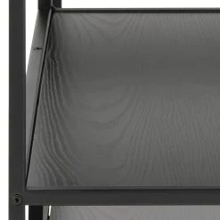 Red Living Étagère Coogee II - Noir 16 Red Living Étagère Coogee II - Noir -Meubles de salle à manger Soldes Magasin 1000174112 190524 15511800103 GALLERYIMAGES P000000001000174112