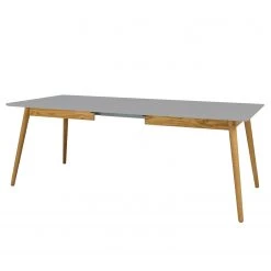 Tenzo Table Dot I - Partiellement en chêne massif - Gris / Chêne -Meubles de salle à manger Soldes Magasin 1000175533 190614 06464300116 GALLERYIMAGES P000000001000175533