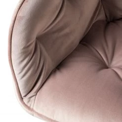 Jack & Alice Chaises à accoudoirs Tilly - Velours / Métal - Noir - Rose vieilli -Meubles de salle à manger Soldes Magasin 1000184191 200207 09400800033 DETAILS P000000001000184191