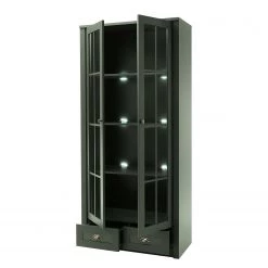 Ridgevalley Vitrine Beauville II - Vert mousse / Doré -Meubles de salle à manger Soldes Magasin 1000196332 191127 09003400064 DETAILS P000000001000196332