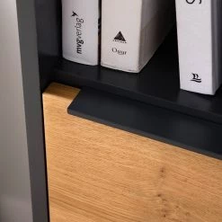 Red Living Buffet haut Barview - Placage en chêne - Chêne / Anthracite -Meubles de salle à manger Soldes Magasin 1000218365 210413 12582000025 DETAILS P000000001000218365