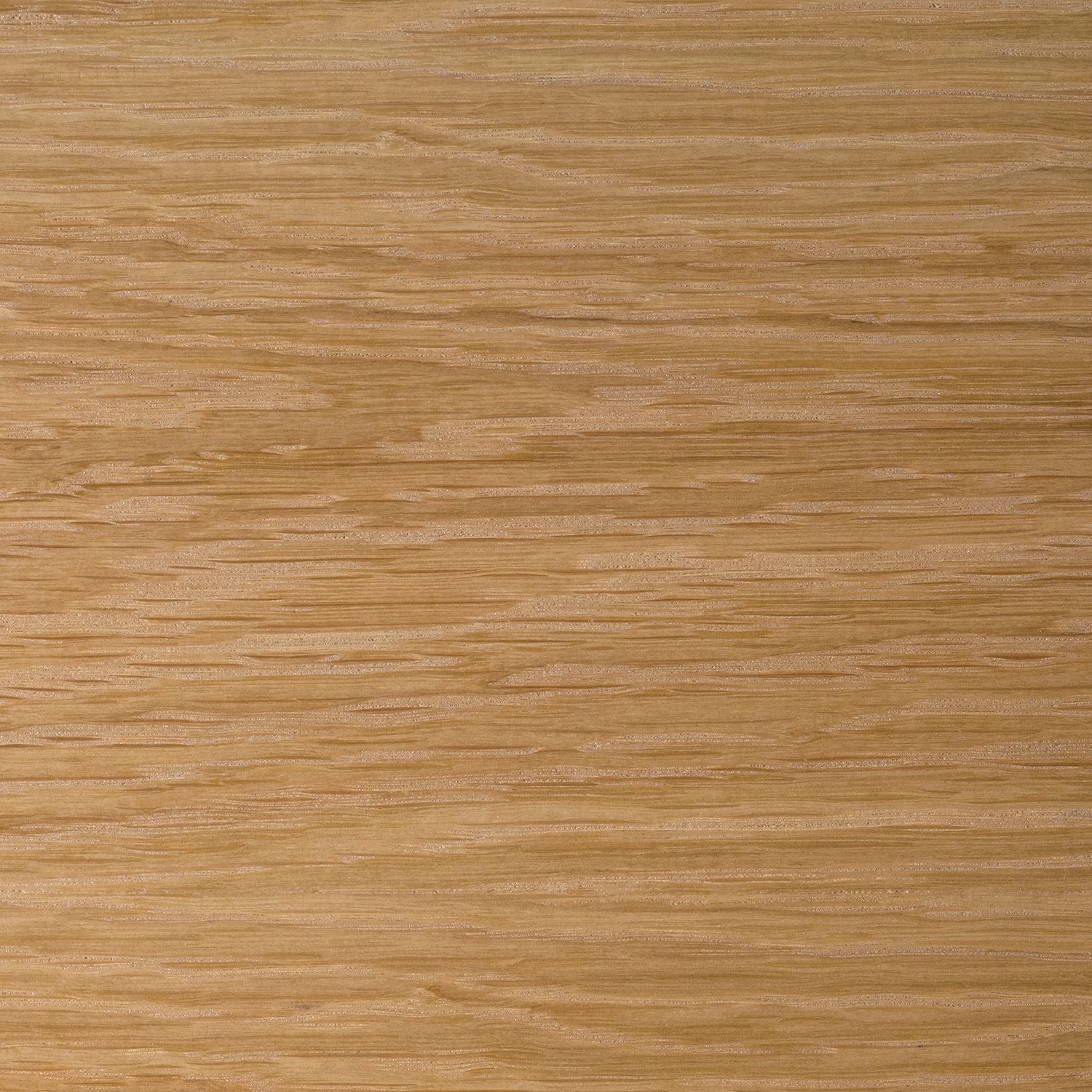 Studio Copenhagen Table Danica - Placage en bois véritable - Gris foncé mat / Frêne 9 Studio Copenhagen Table Danica - Placage en bois véritable - Gris foncé mat / Frêne – Image 9