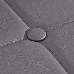 Red Living Chaises capitonnées Aline (lot de 2) - Gris 11 Red Living Chaises capitonnées Aline (lot de 2) - Gris -Meubles de salle à manger Soldes Magasin 1000271807 210602 16122200054 DETAILS P000000001000271807