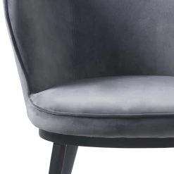Red Living Chaise à accoudoirs Cheia II - Velours / Fer - Gris clair / Noir -Meubles de salle à manger Soldes Magasin 1000303607 211117 164740000125 DETAILS P000000001000303607