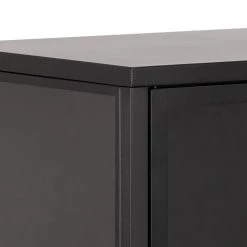 Norrwood Vitrine Cascavel I - Métal - Noir -Meubles de salle à manger Soldes Magasin 1000305897 211109 13074800046 DETAILS P000000001000305897