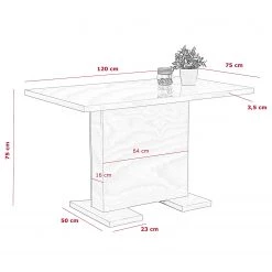 Loftscape Table Hawick - Blanc brillant - Sans rallonge -Meubles de salle à manger Soldes Magasin 1000309958 211117 17103000707 SKETCH DETAILS P000000001000309958 sketch