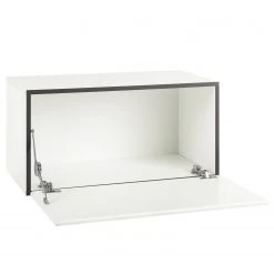 Now! by hülsta Caisson à accrocher now to go colour II - Blanc pur brillant / Blanc neige - 38 x 75 cm 11 Now! by hülsta Caisson à accrocher now to go colour II - Blanc pur brillant / Blanc neige - 38 x 75 cm -Meubles de salle à manger Soldes Magasin 1000311229 211201 144846000111 DETAILS P000000001000311229