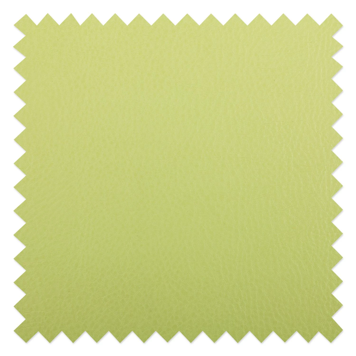 Ars Natura Chaises Flen (lot de 2) - Vert pâle - Hêtre clair 9 Ars Natura Chaises Flen (lot de 2) - Vert pâle - Hêtre clair – Image 9